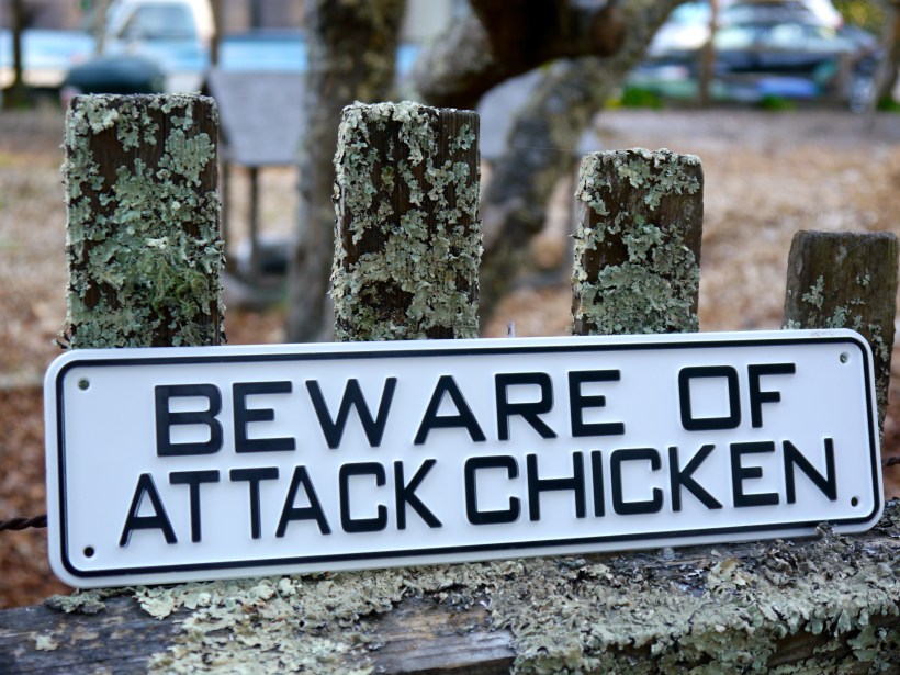 A silly sign my sister-in-law gave me!