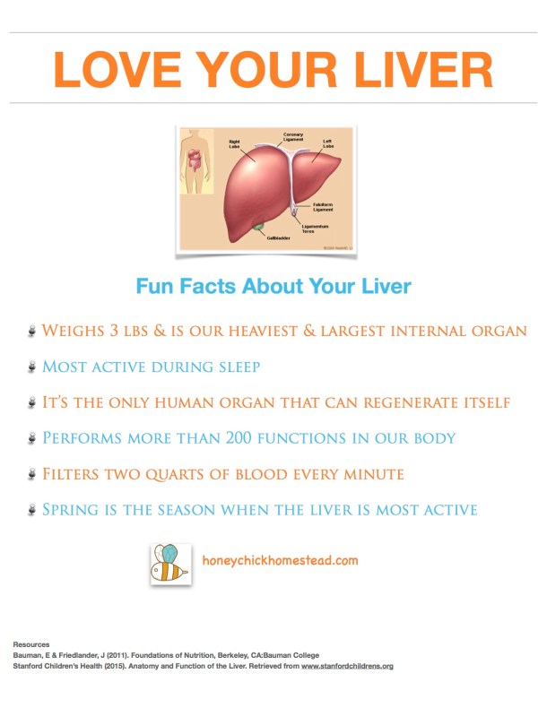 Love your liver part 1