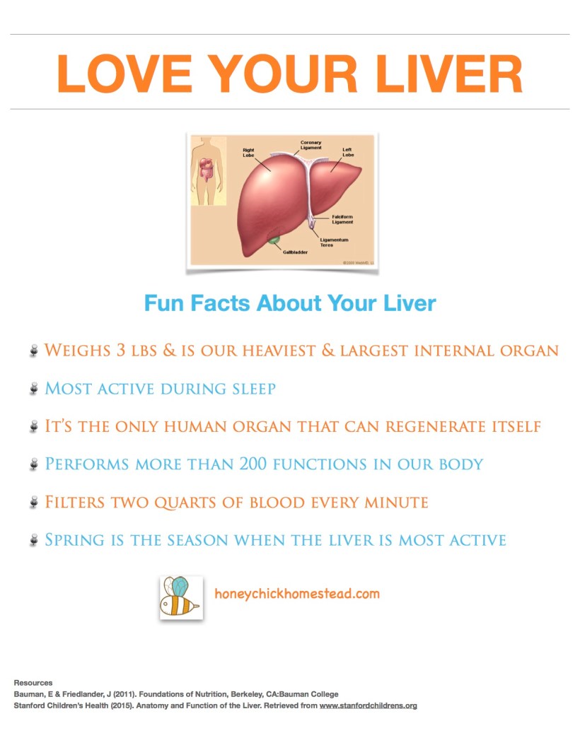Love your liver part 1